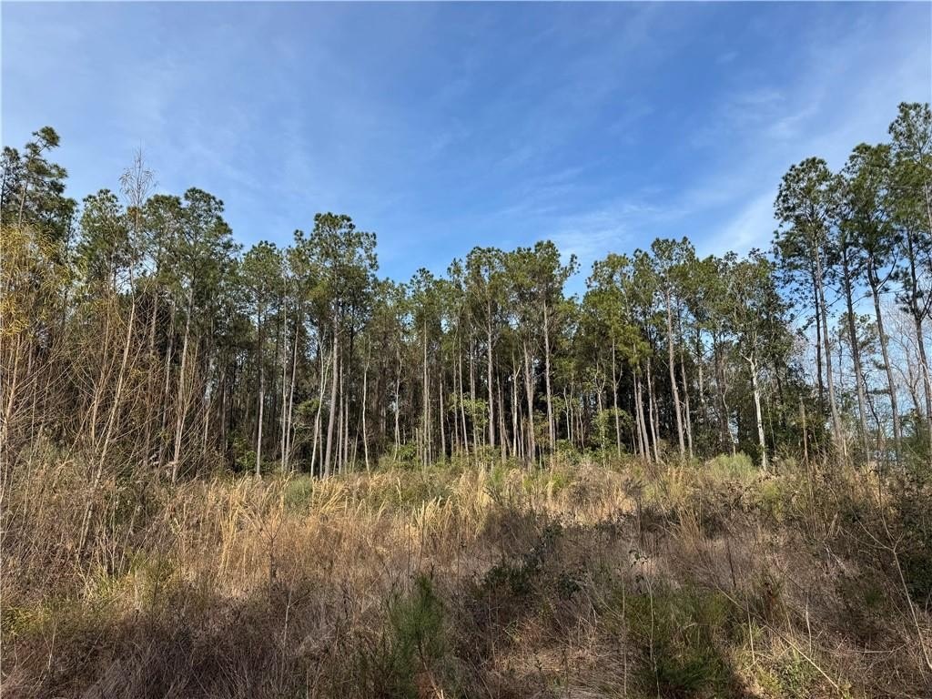 Other - COCI Road, Pearl River, LA