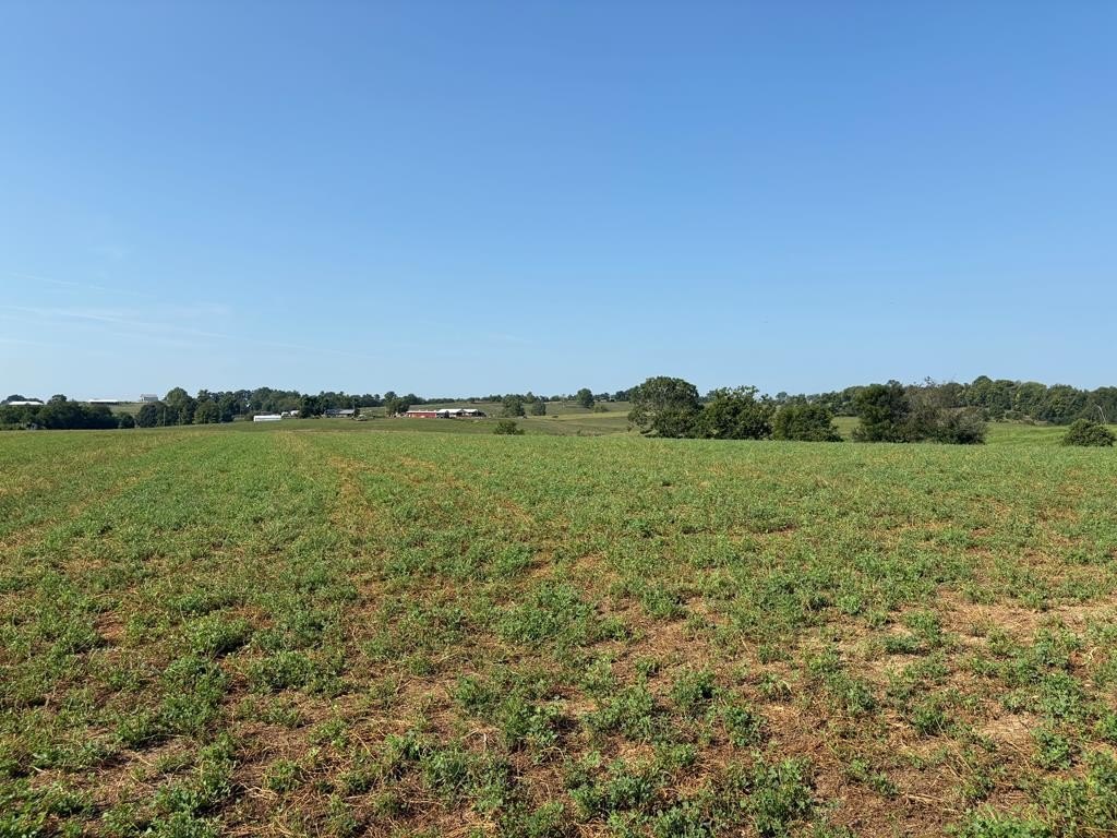 Other - 296 Cassidy, Ewing, KY
