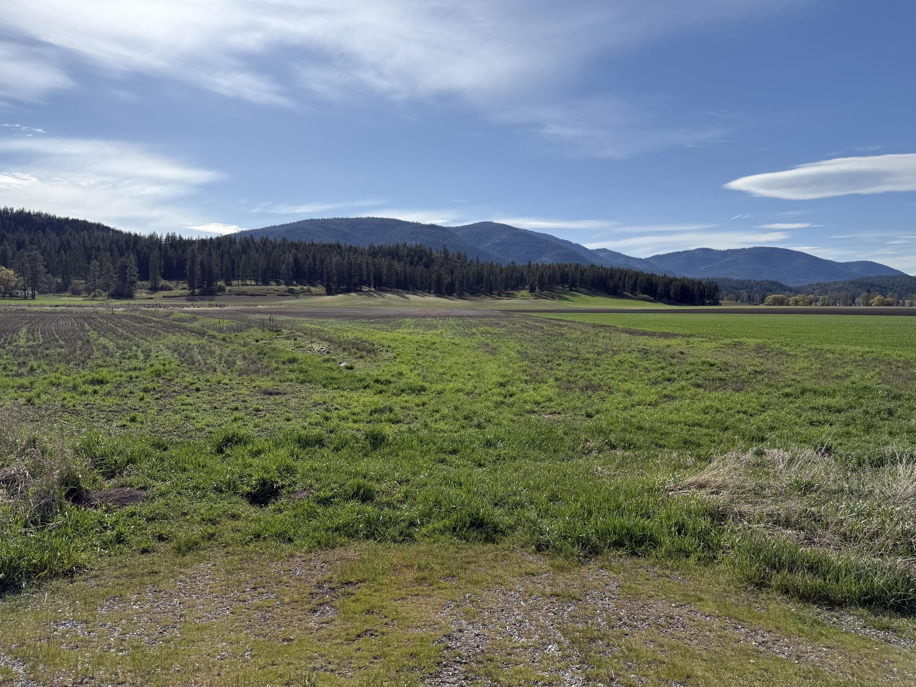 Other - TBD ZIMMER RD, ADDY, WA