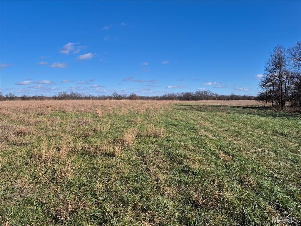 Plots and Land - 0 County Road 197 - Tract 7 (11+/- Acres), Williamsburg, MO