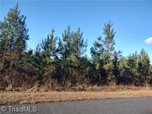 Other - 114 Harborgate Drive, Denton, NC