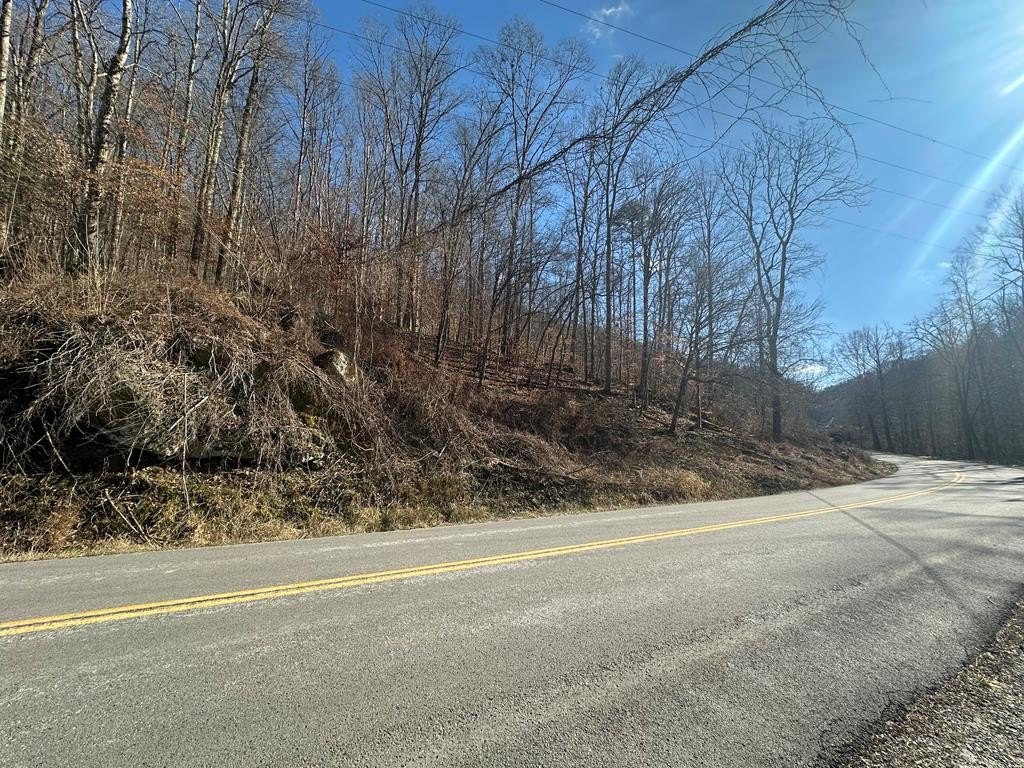 Other - 00 Left Fork Maces Creek Rd, Viper, KY