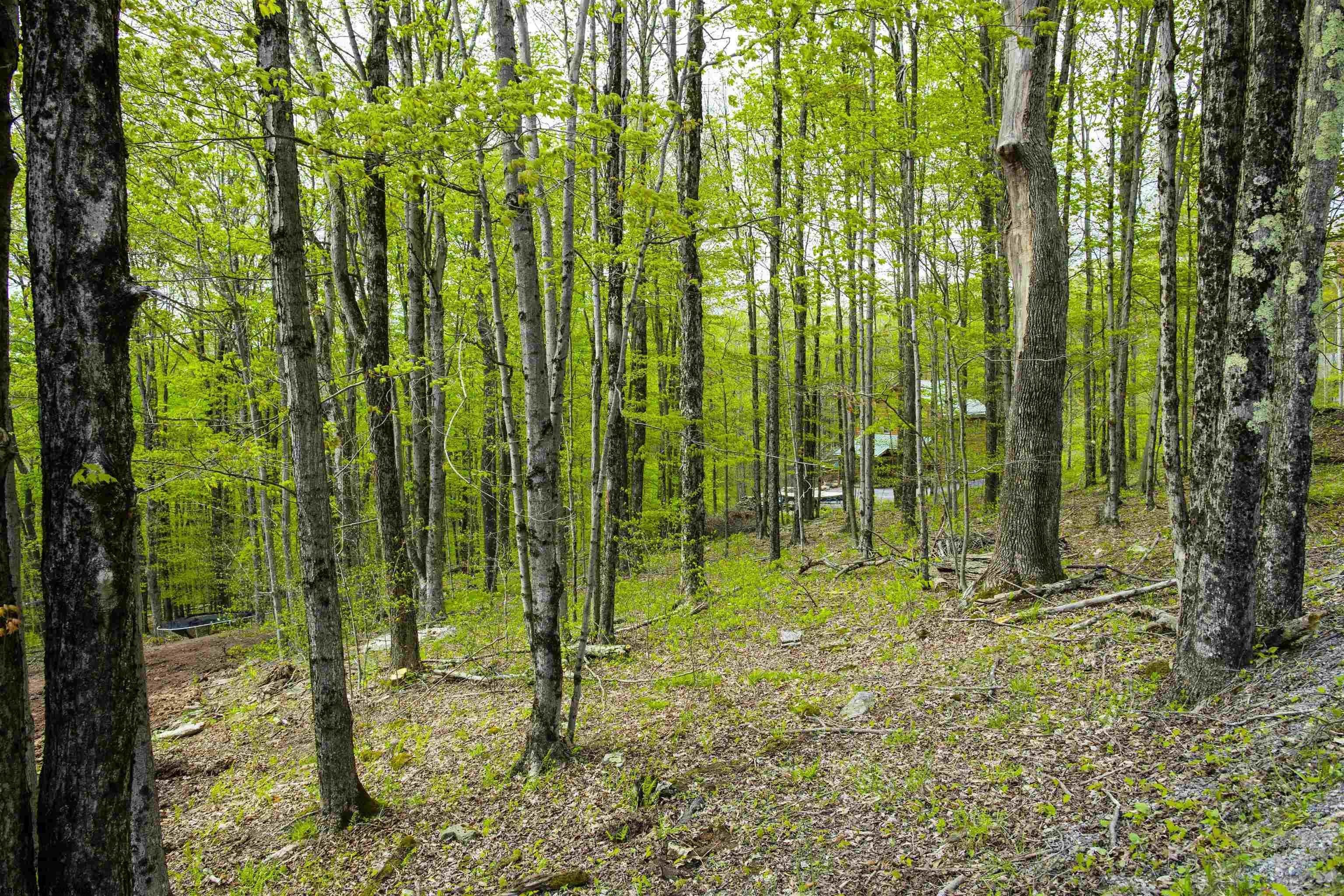 Other - 99 Fern Lane, Davis, WV