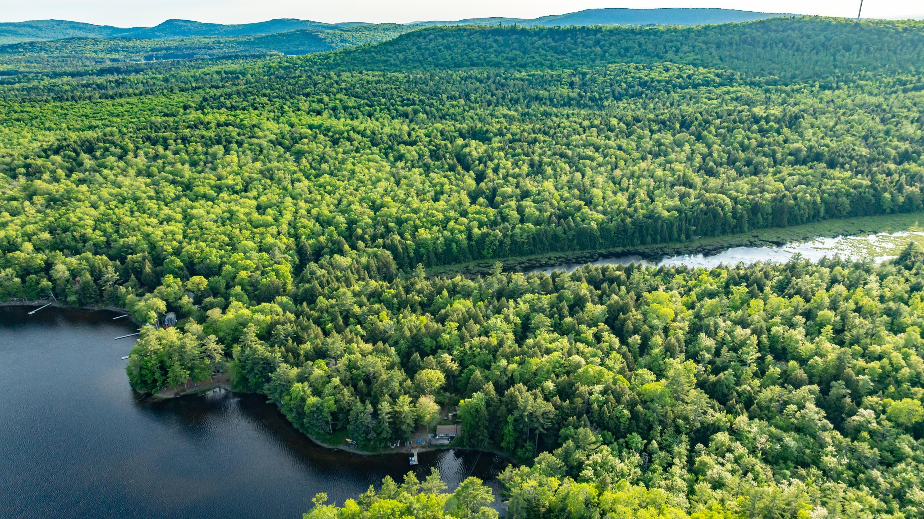 Other - M2L1 Springy Pond Road, Clifton, ME
