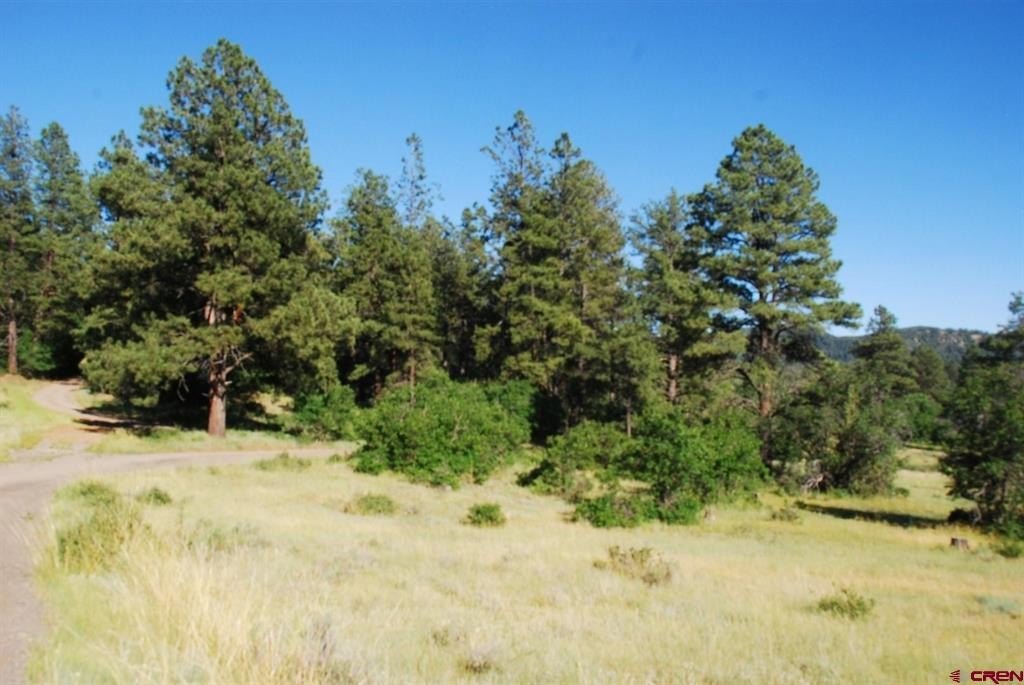 Single Family - X US Hwy 84 #116, Pagosa Springs, CO