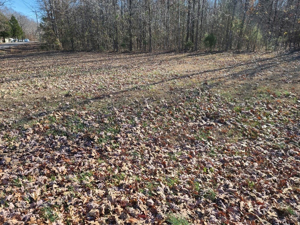 Other - Shore Drive, BIG SANDY, TN