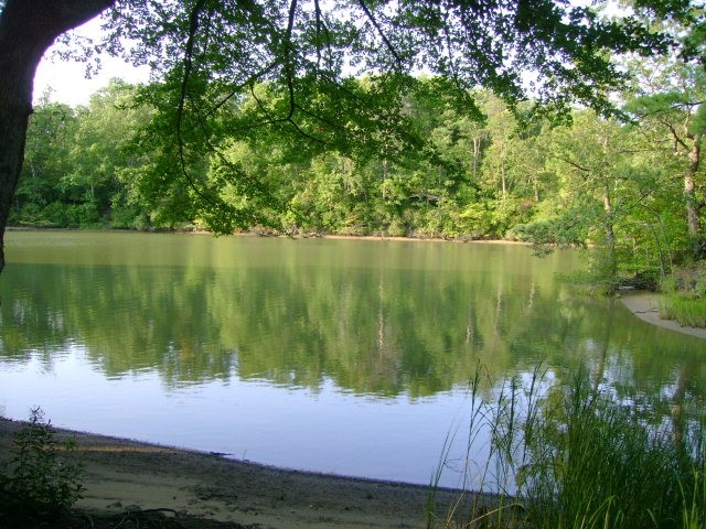 0 Hall Farm Dr  