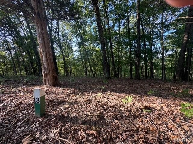 Other - 120 Steeple Point Dr. Lot #13, Defiance, MO