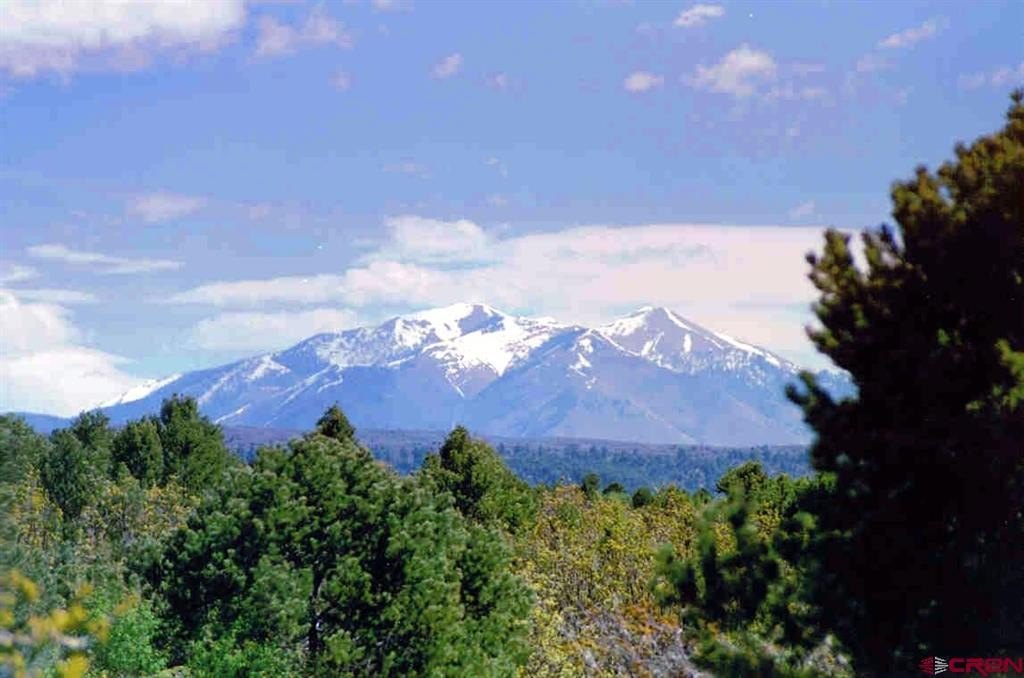 Single Family - TBD De Oro Way, Hesperus, CO