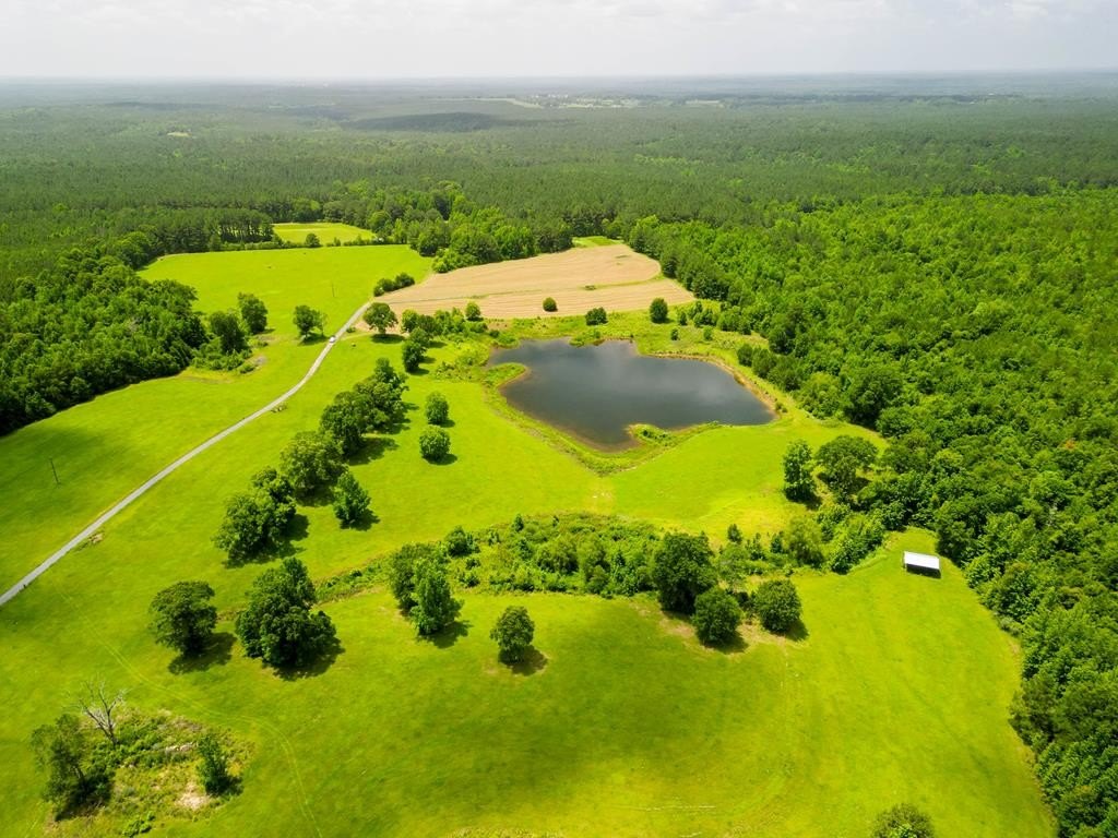 Other - 603 Denham Winchester Rd, Waynesboro, MS