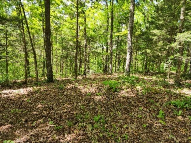 Other - 10.13ac Forest Trails, Celina, TN