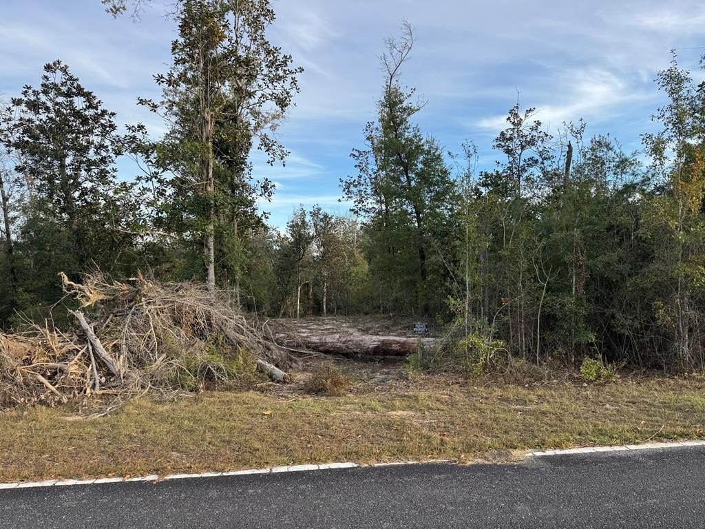 Other - SE Cypress Point Rd lot: 7, Kinard, FL