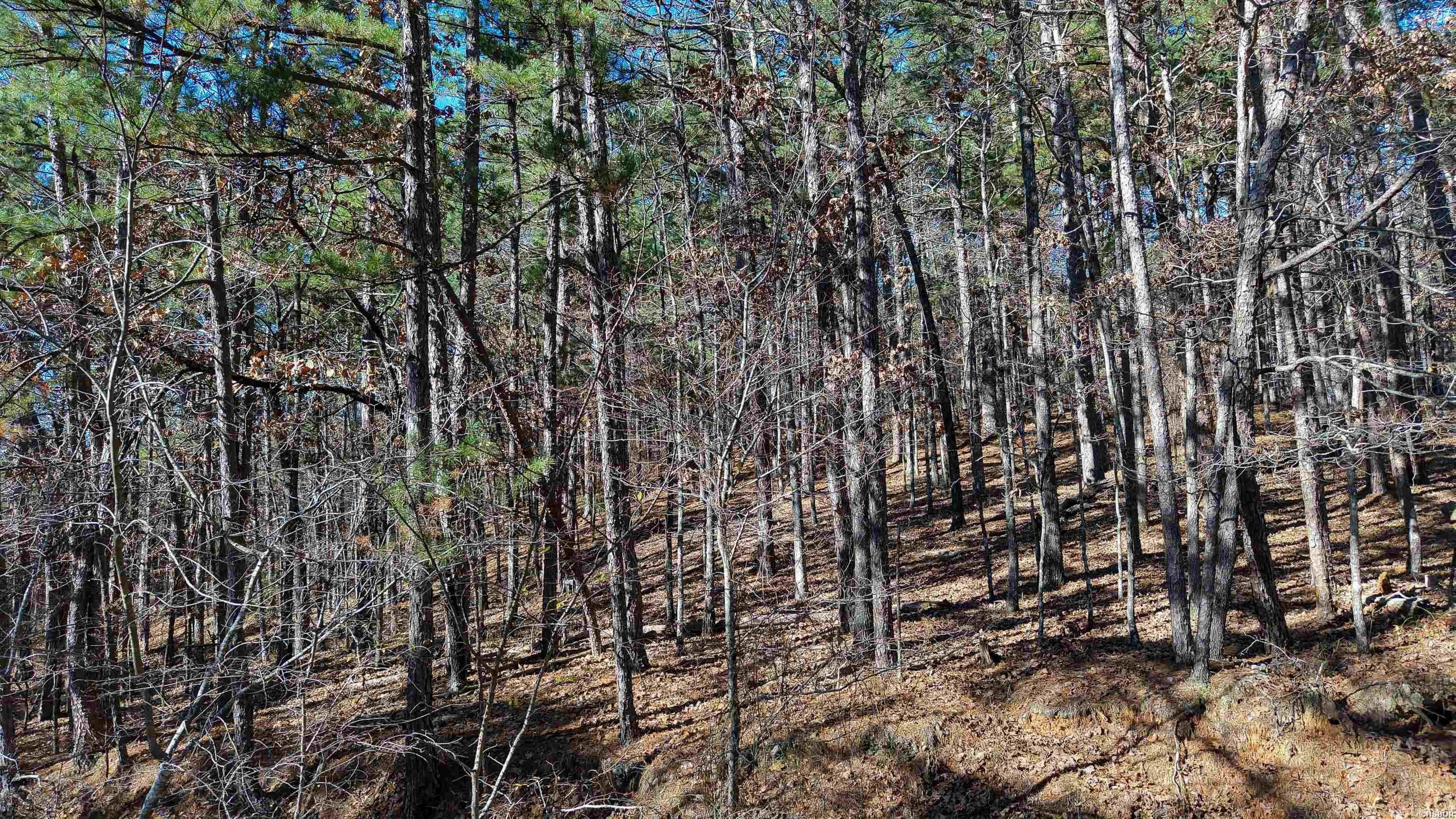 Other - 68 LA PALABRA Way, Hot Springs Village, AR