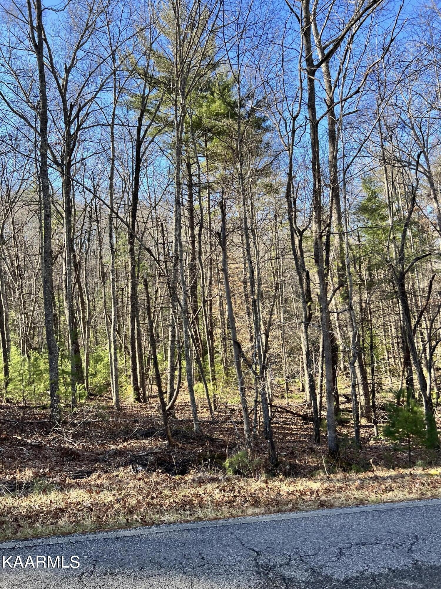Other - 139 Rotherham Drive, Crossville, TN