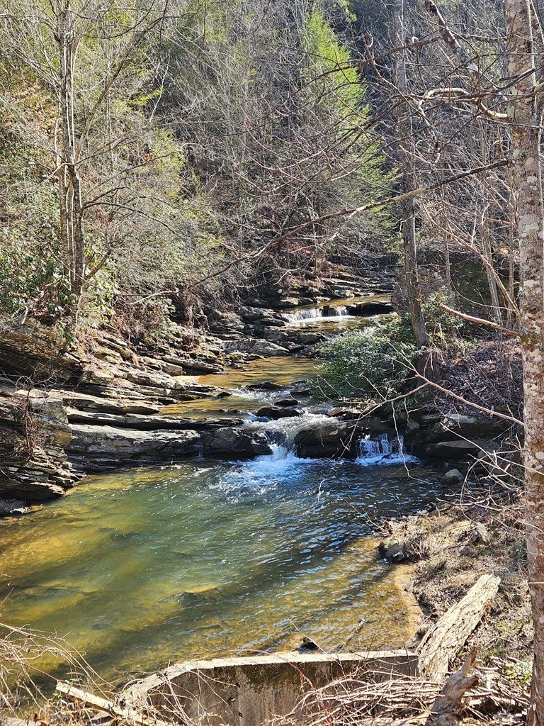 Other - Lt 1620 Nexus Drive, Ellijay, GA