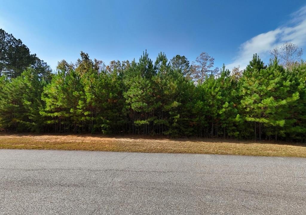 Other - Water Oak Lane lot: 43, Blairsville, GA