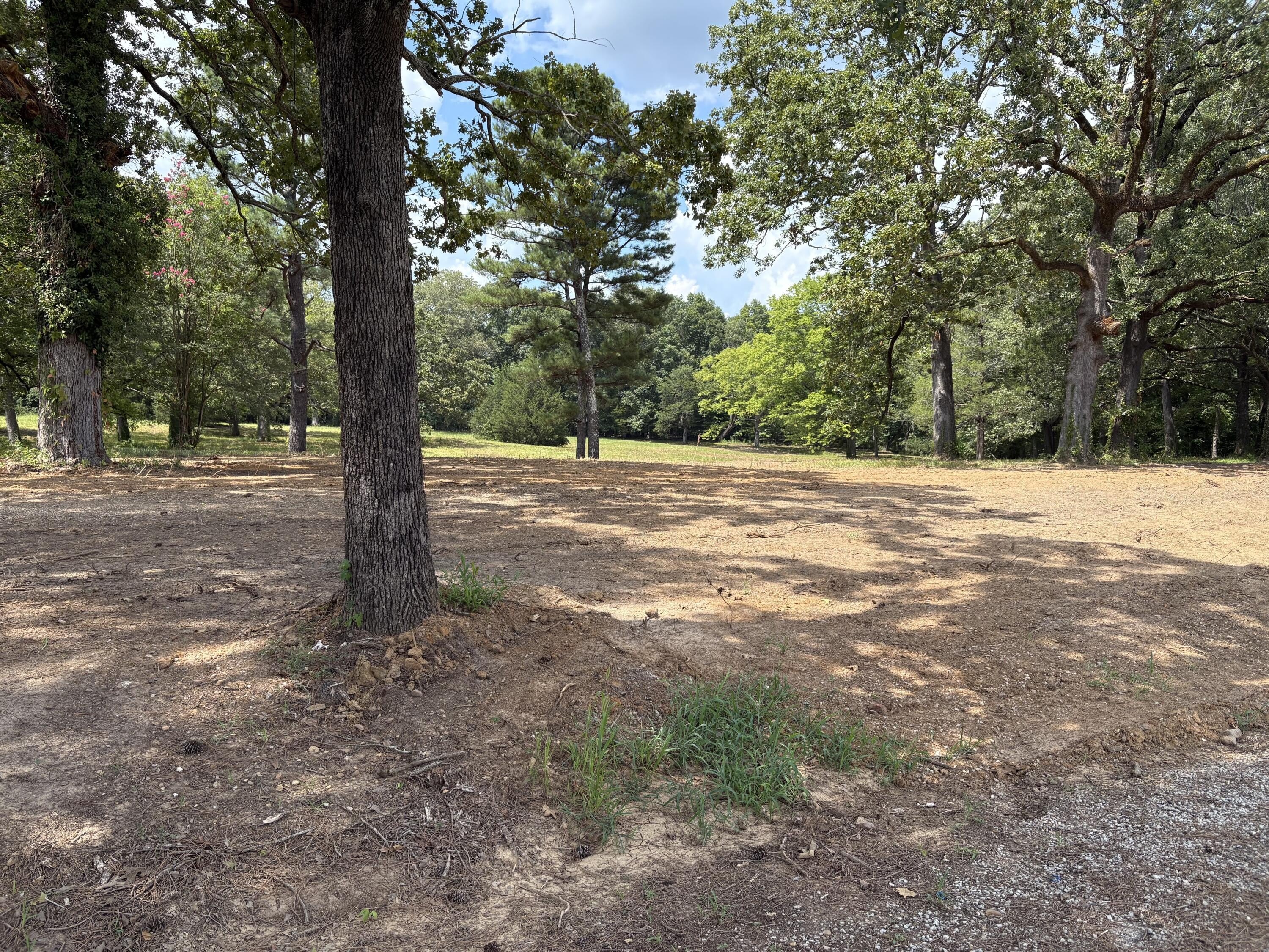 Single Family - CR 833 - Lot 2, Guntown, MS
