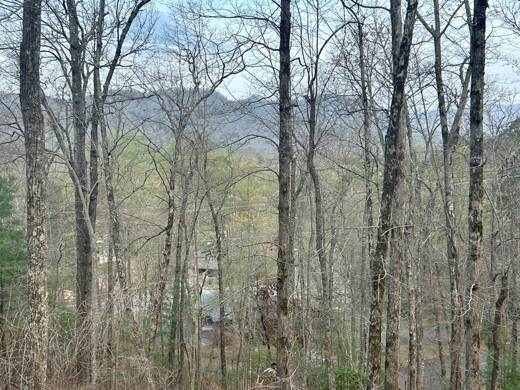 Other - Biltmore Circle lot: 6, Bryson City, NC