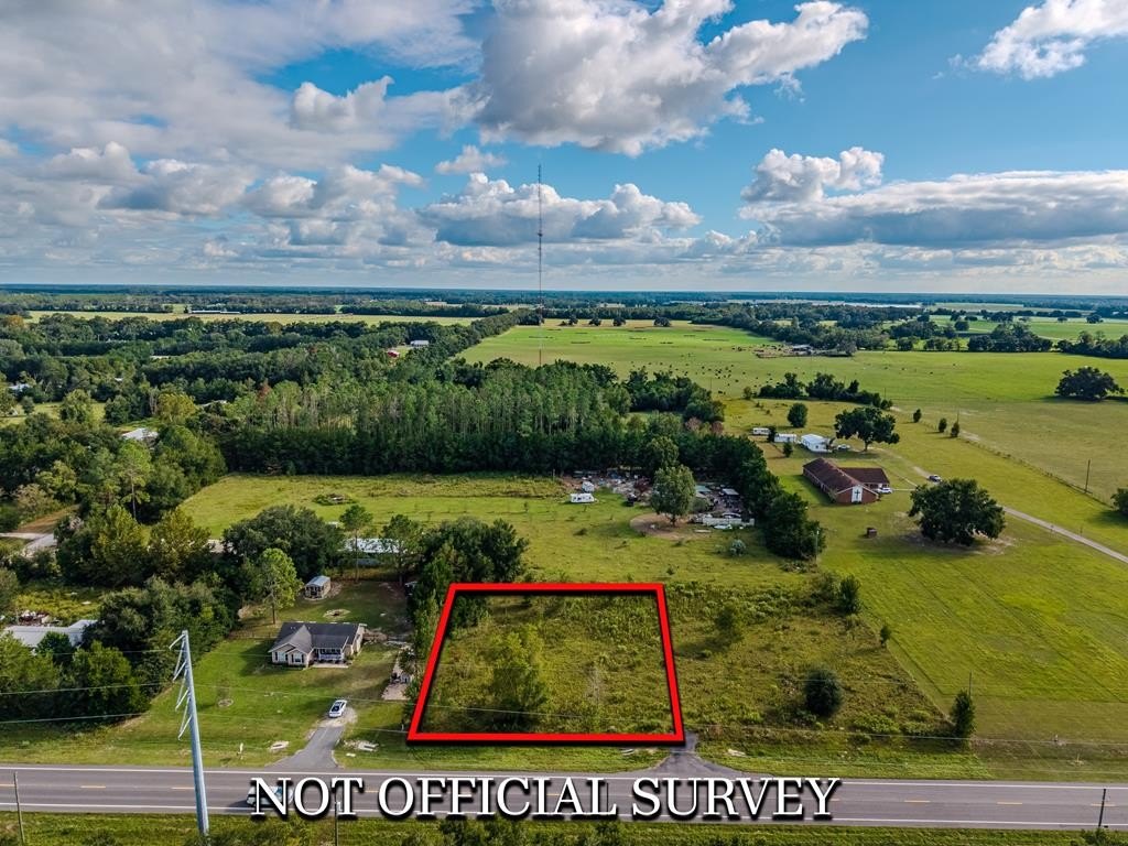 Other - LOT 3 State Rd 26, Trenton, FL