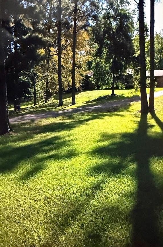 Single Family 3BR 2BA - 217 Southlake Rd., Saratoga, AR