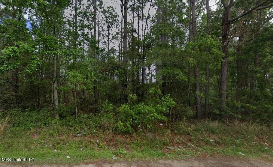 Single Family - W Hinds Street, Bay Saint Louis, MS