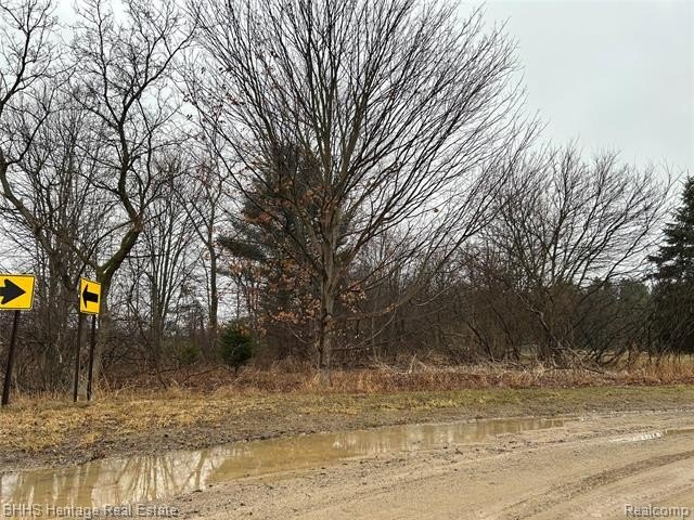 Other - Cedar Rd, Handy Twp, MI