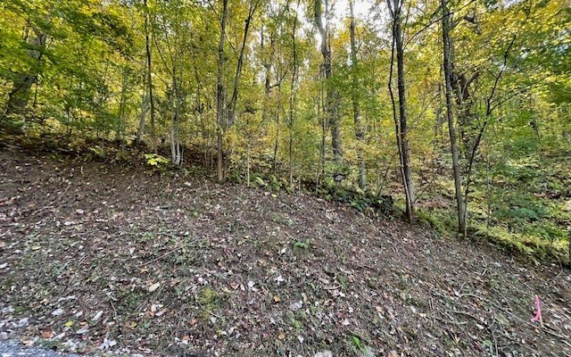 Other - LT 73 Hidden Treasure Est lot: 73, Murphy, NC