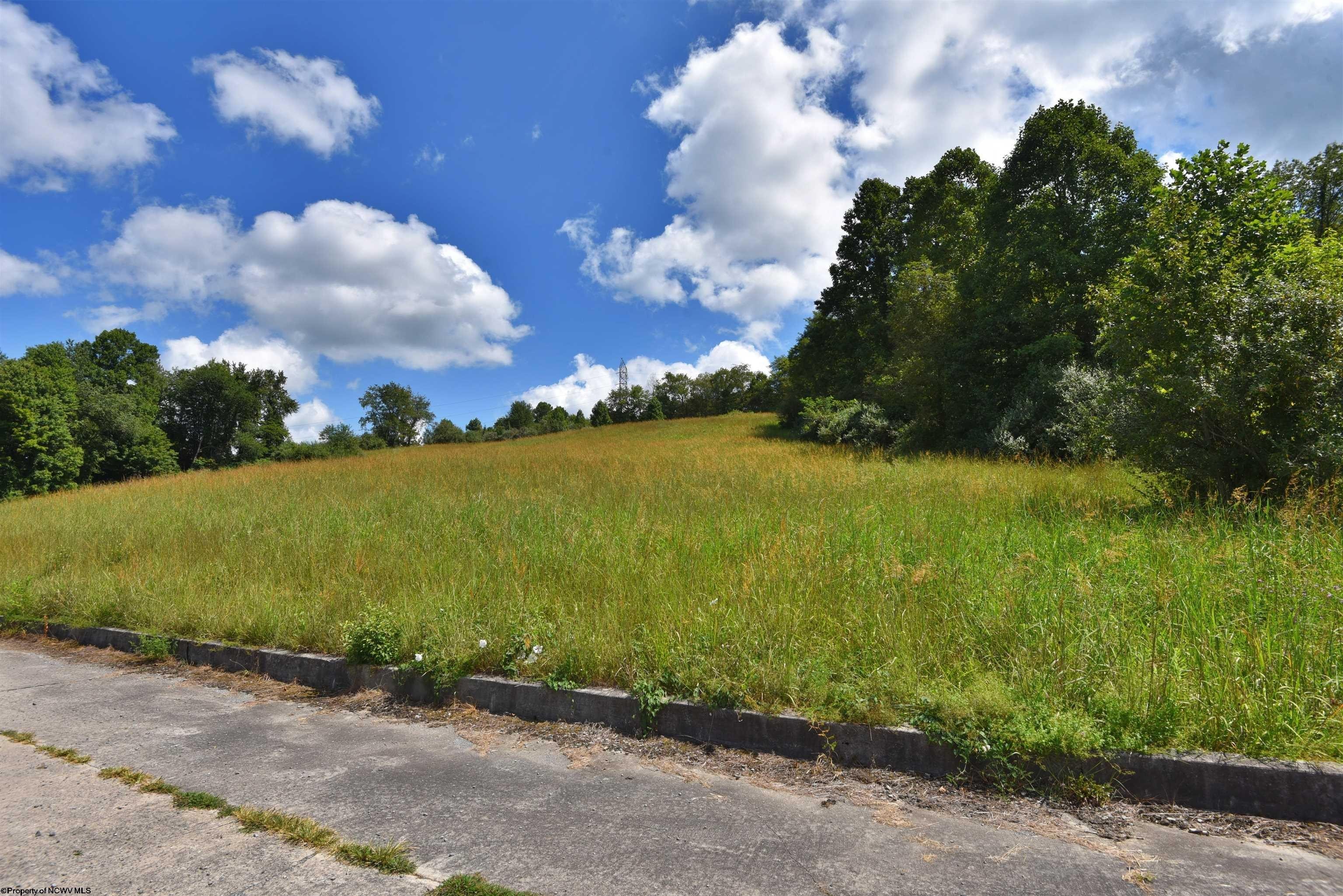 Other - Birch Street lot: 49, Grafton, WV