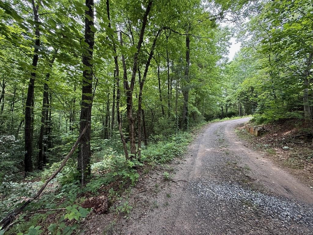 Other - Mr Bert Road, Hiawassee, GA