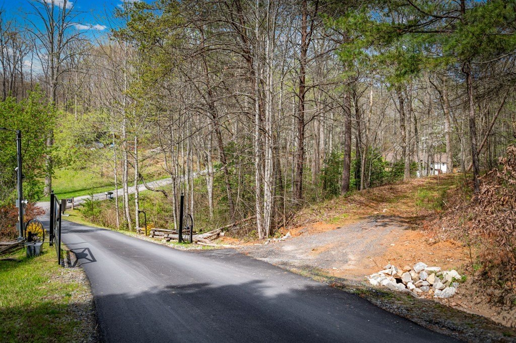 Other - Lot 1 Wolf Creek Estates, Mineral Bluff, GA