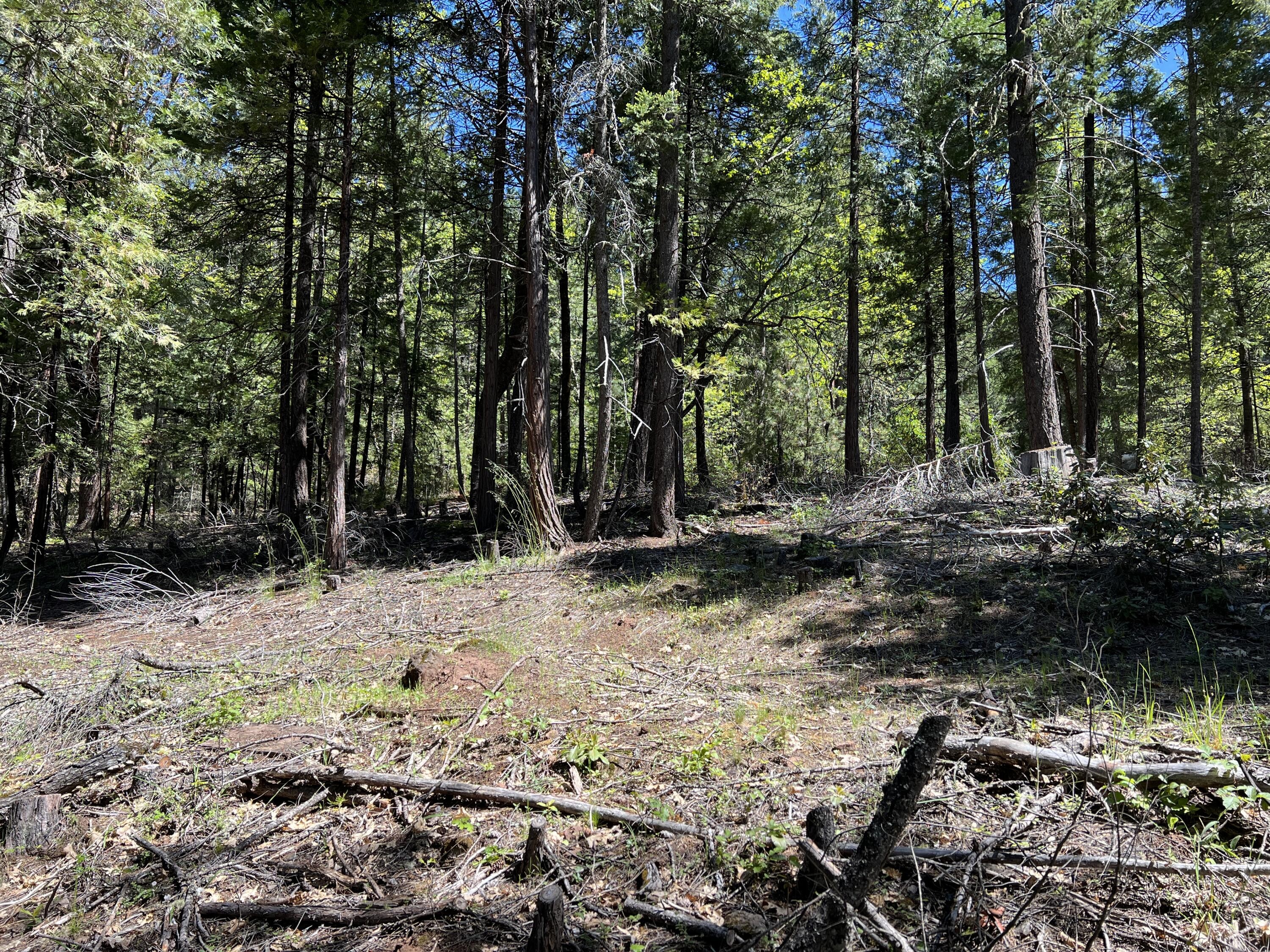 TL347 Flounce Rock Rd  