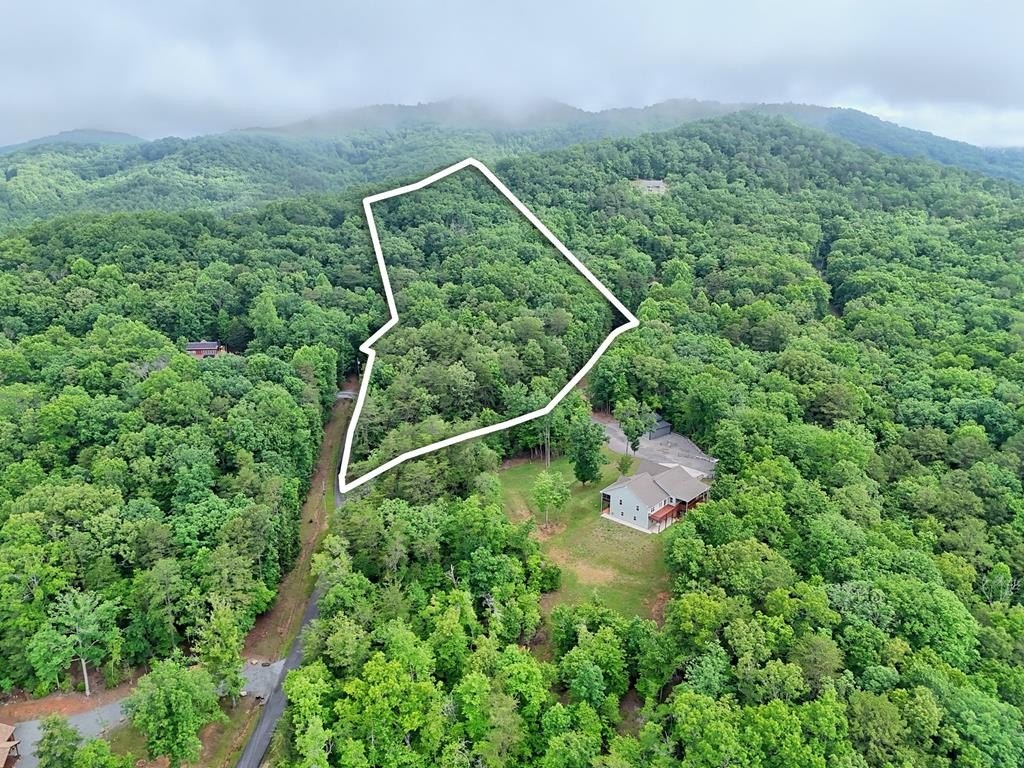 Other - Lt 16,19 Pheasant Trail, Warne, NC