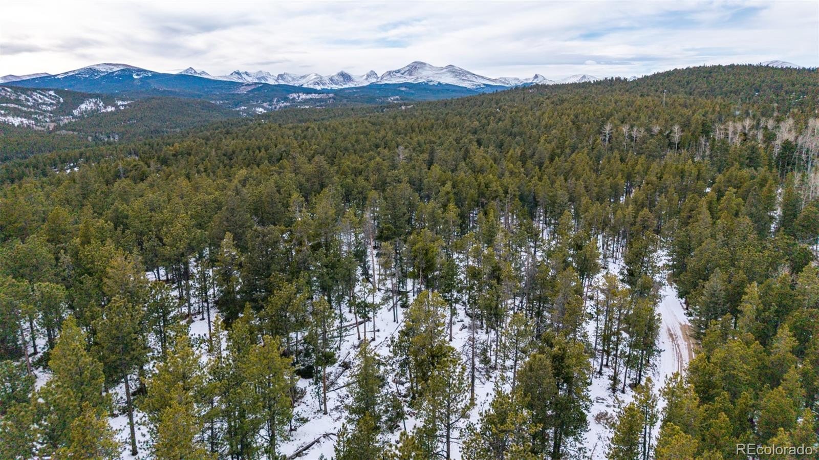 Plots and Land - 190 Hard Way Road, Ward, CO