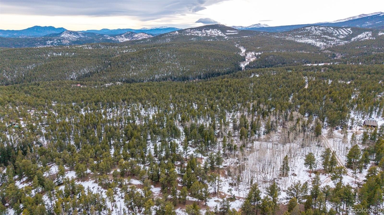 Plots and Land - 190 Hard Way Road, Ward, CO