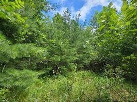 Other - Lot 11-12 French Street, Friendship, WI