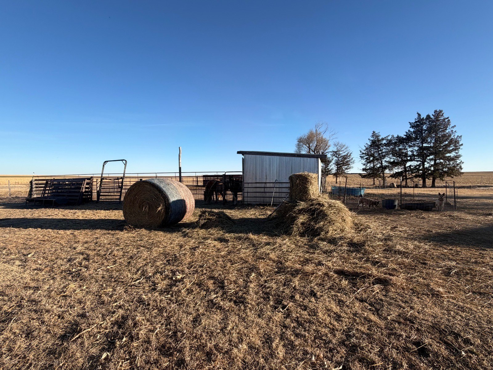 Single Family 4BR 3BA - 72562 Ave 341, Wauneta, NE