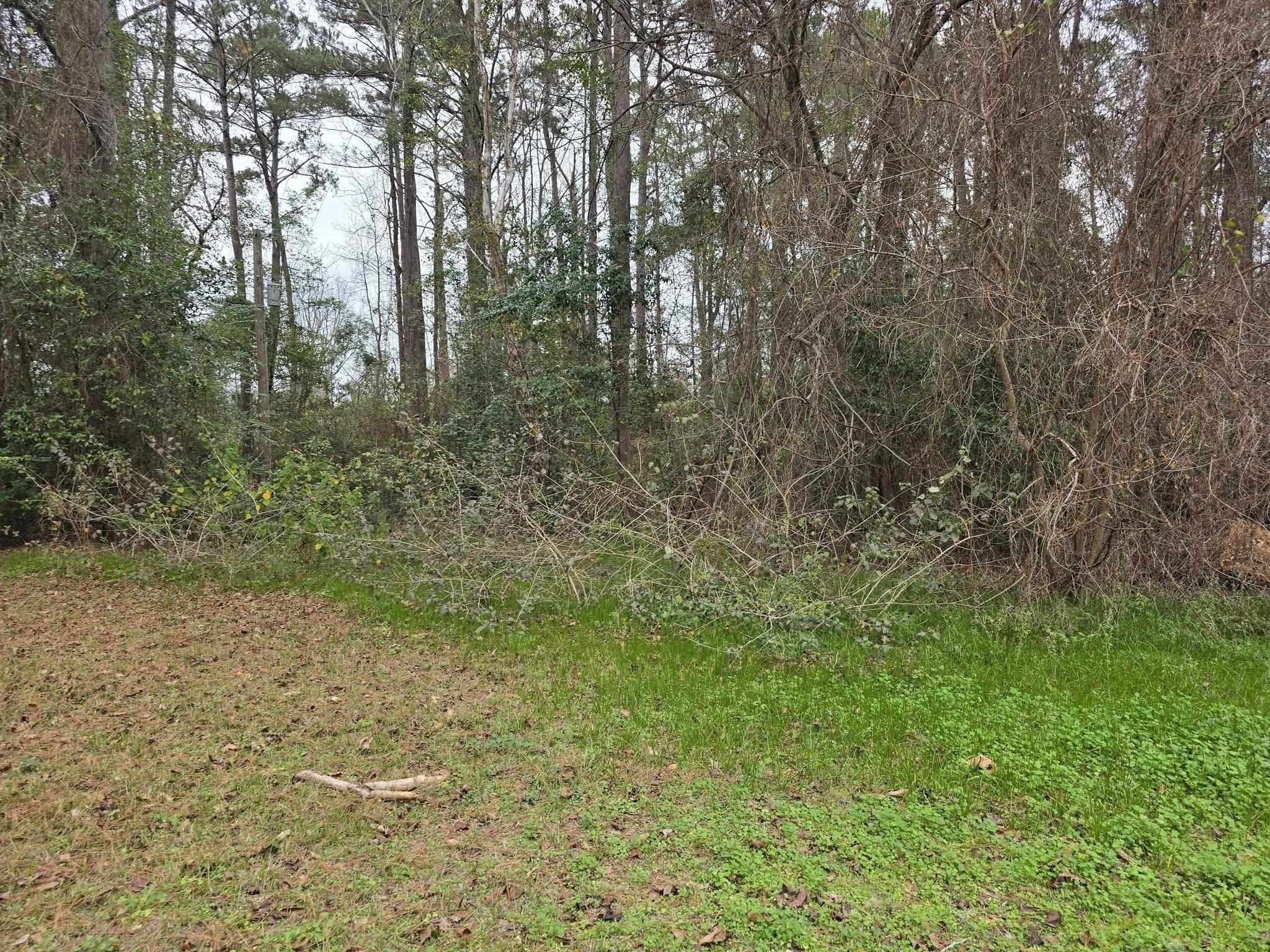 Other - 357 Lucas Road, Brookeland, TX