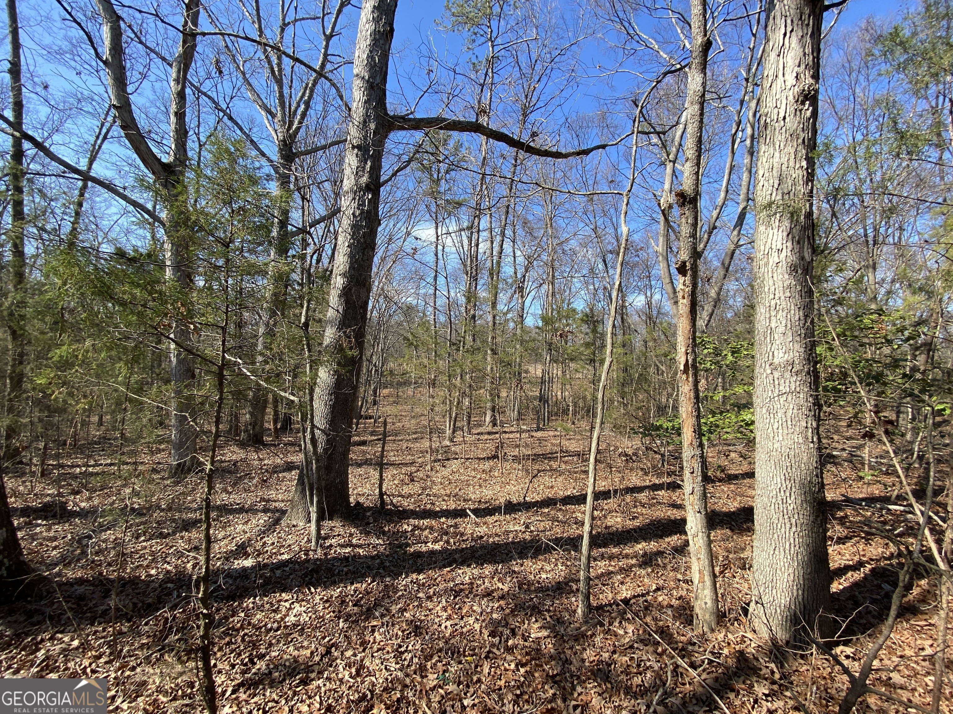 Other - Majestic Shores Road lot: 6, Hartwell, GA