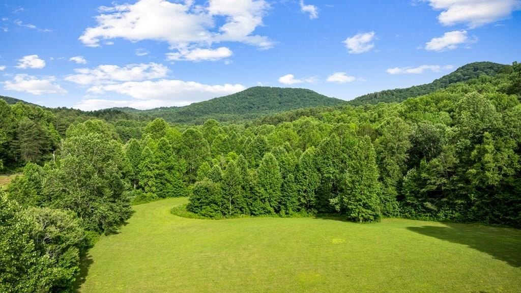 Other - 225 Cohutta Ranch Road lot: 12, Blue Ridge, GA