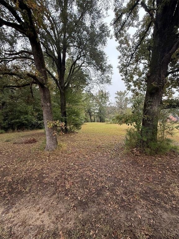 Plots and Land - 0 Greene Road, Minden, LA
