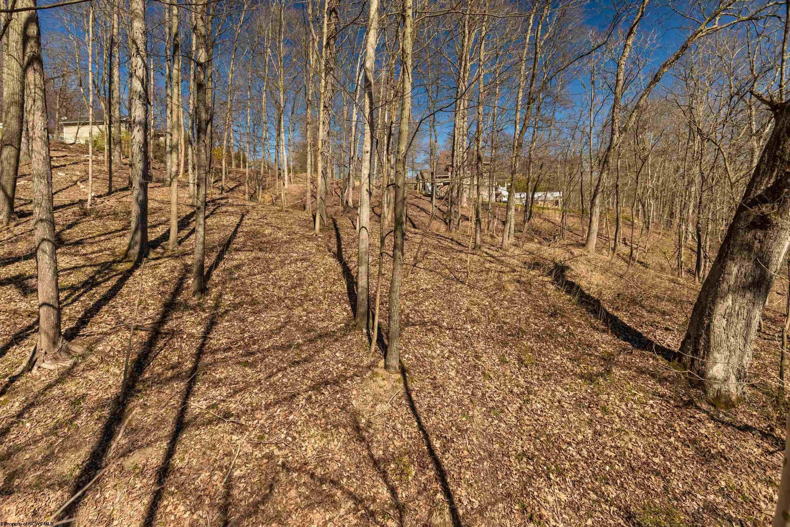 Other - Southpoint Circle lot: 20 + 21, Morgantown, WV