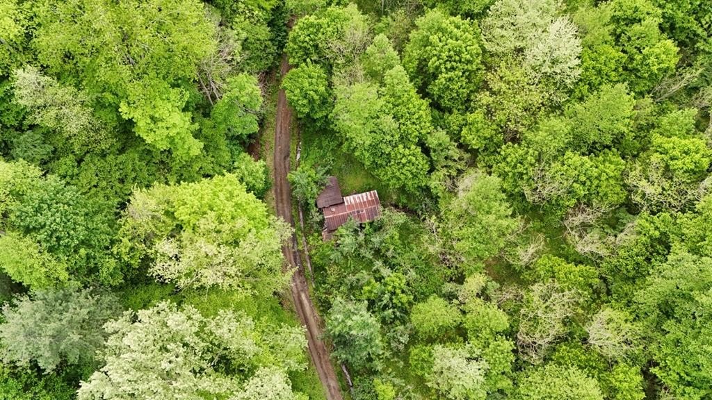 Other - 0 Indian Grove Rd, Mouthcard, KY