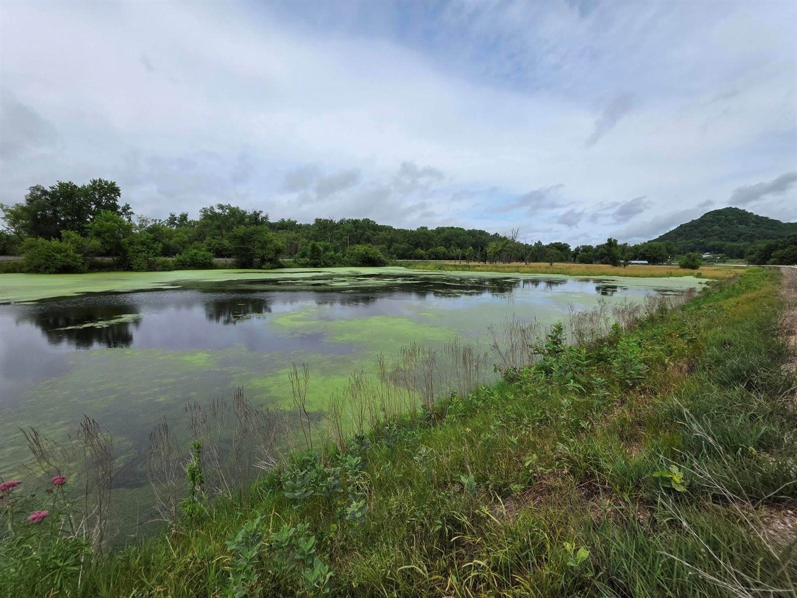 Other - Lot 0 State Highway 35 -, Ferryville, WI