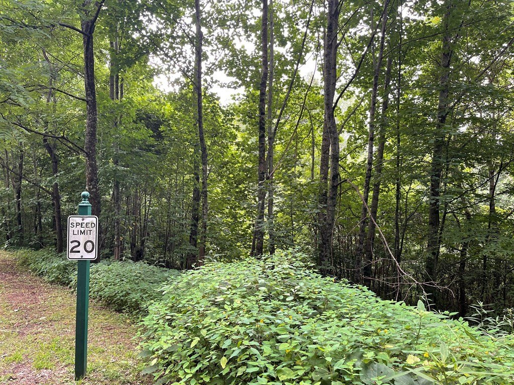 Other - Friendly Acres Drive, Waynesville, NC