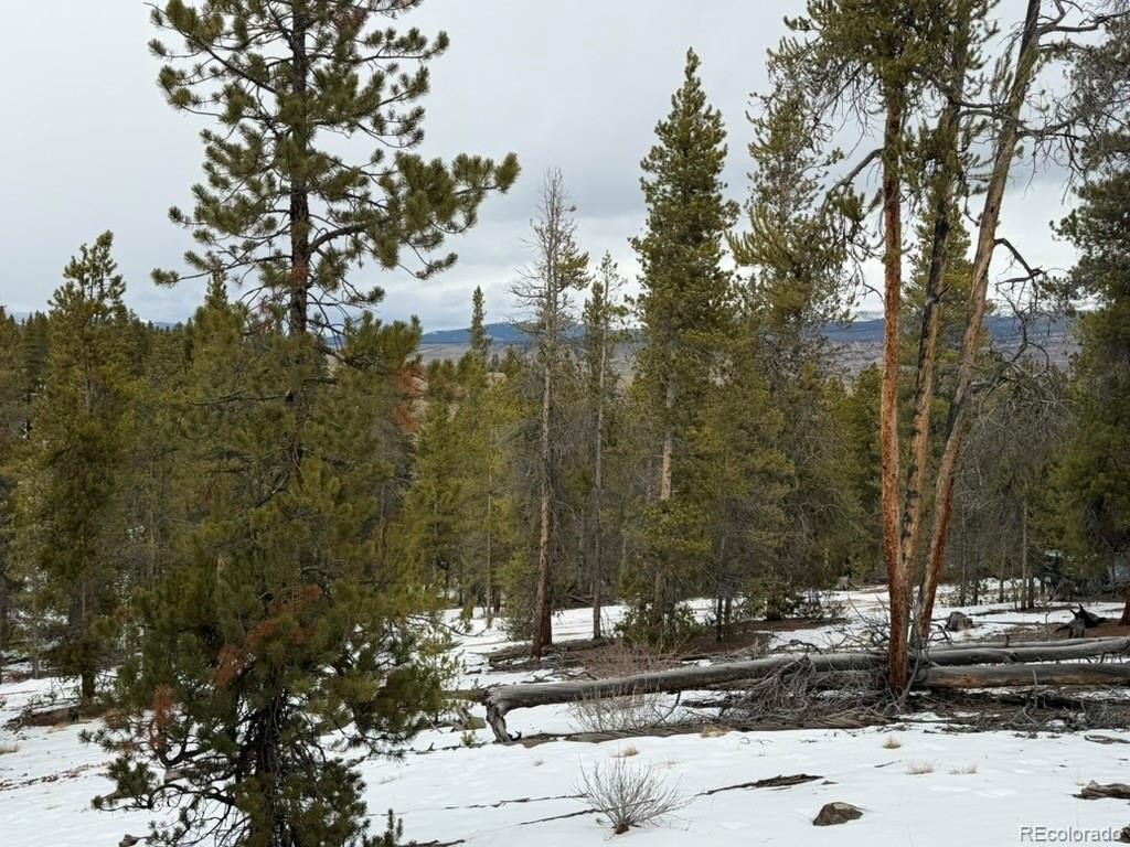 Plots and Land - 124 Lodgepole Drive, Twin Lakes, CO