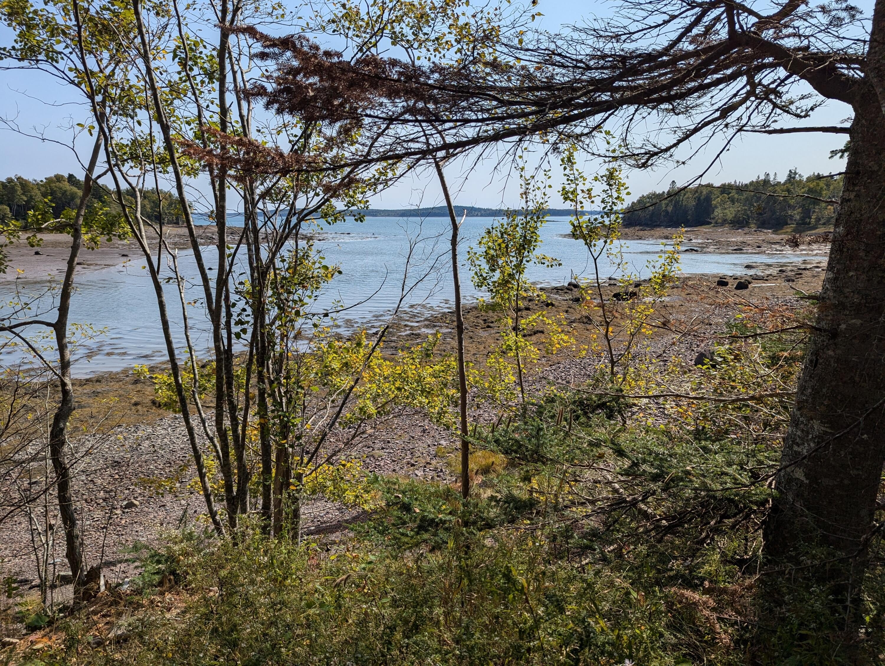 Other - L1-1,2,3,4 Birch Point Road, Perry, ME