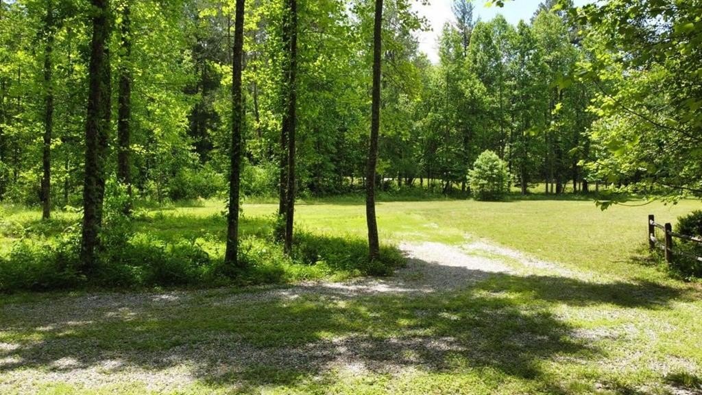 Other - Tract 2 Timber Ridge Road, Blairsville, GA