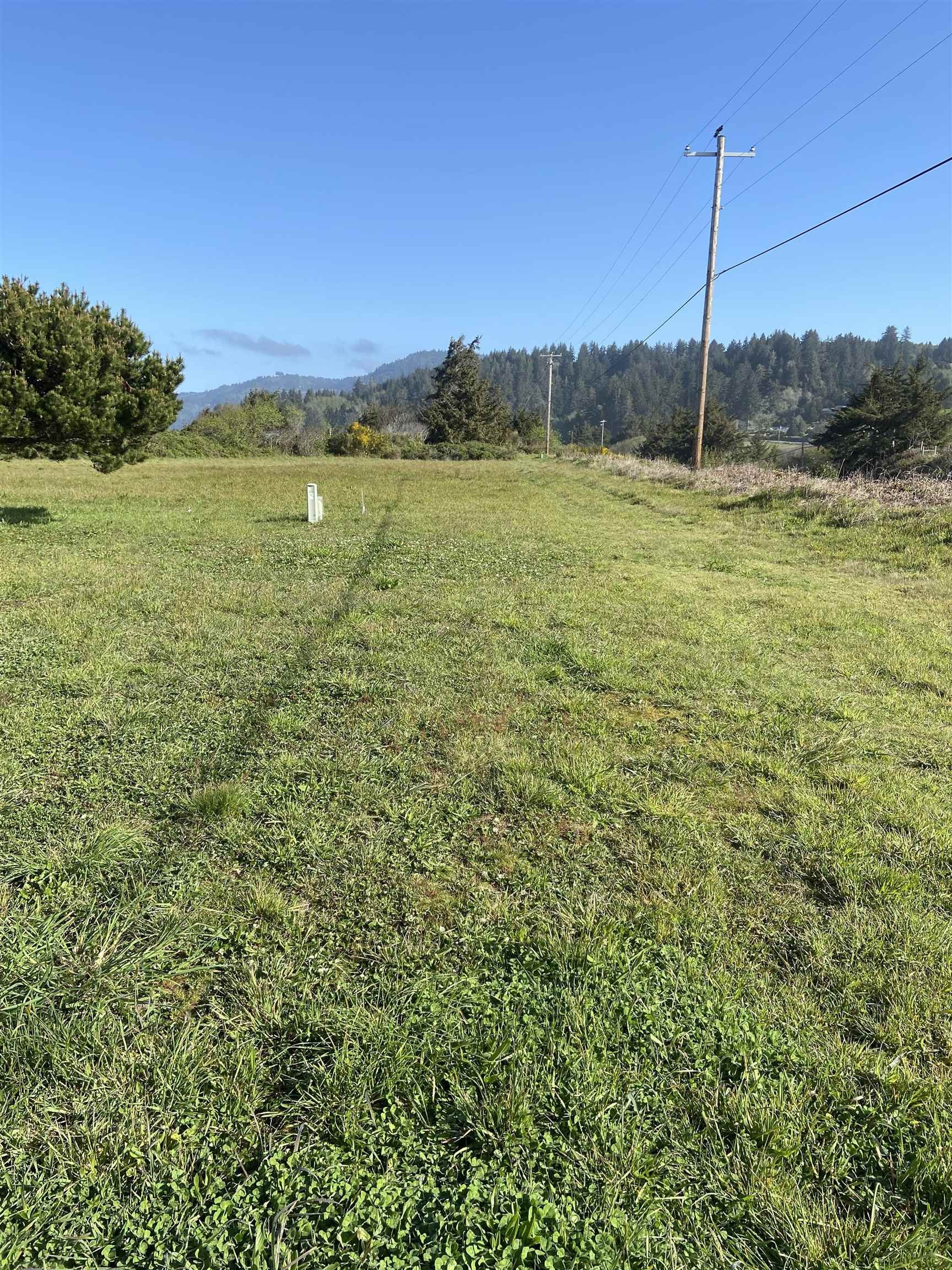 Single Family - 340 Struebing Lane, Smith River, CA