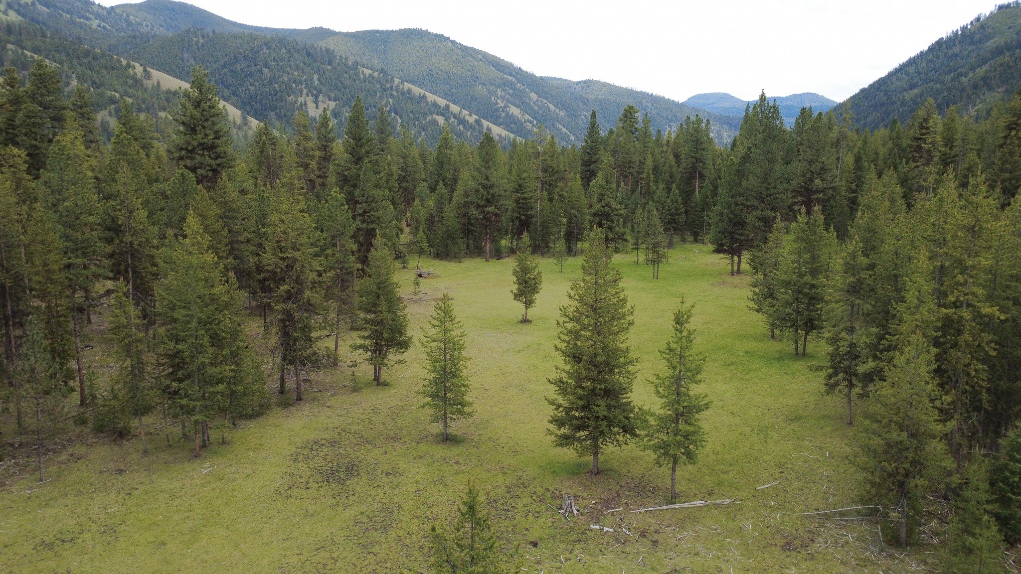 Other - Tract A West Meadow Road, Darby, MT