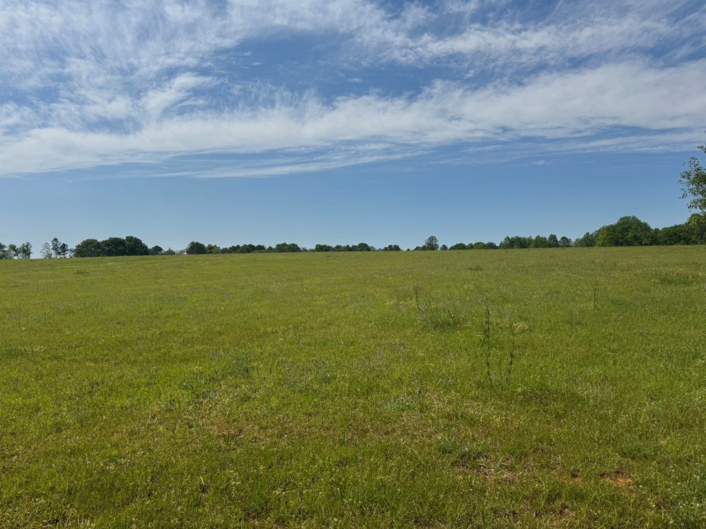 Other - Valley Road, Lumpkin, GA